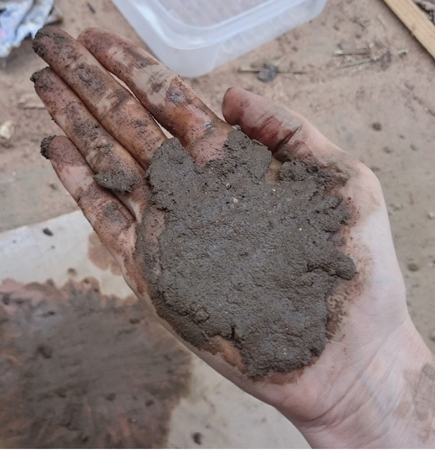 palm test 1